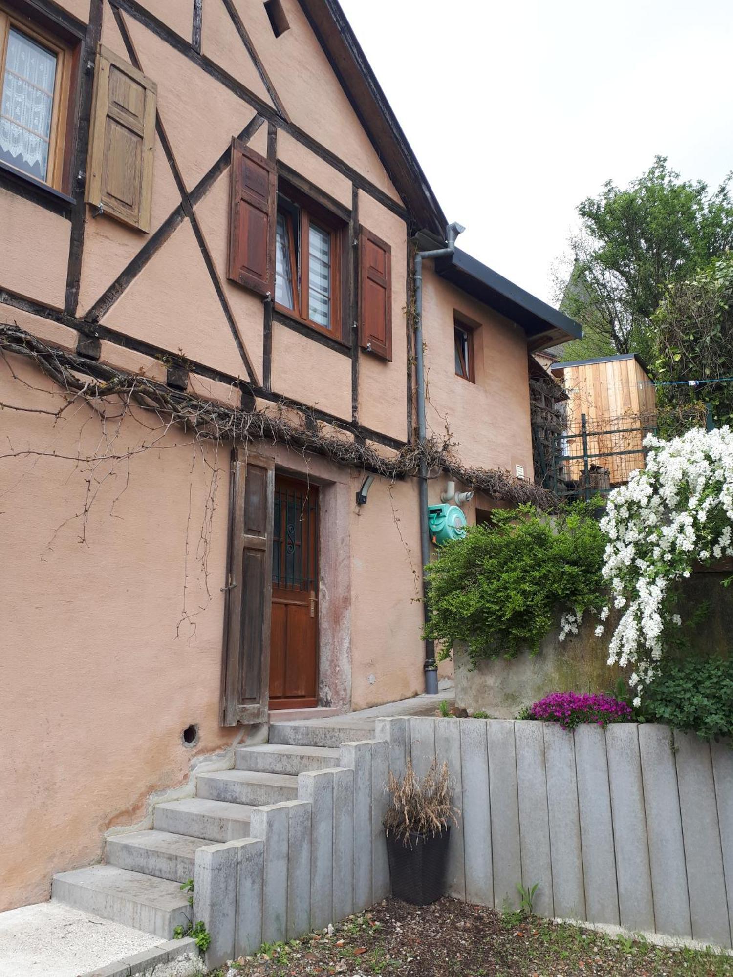 Ferienwohnung Aux Jardins D'Argiles Buhl Exterior foto