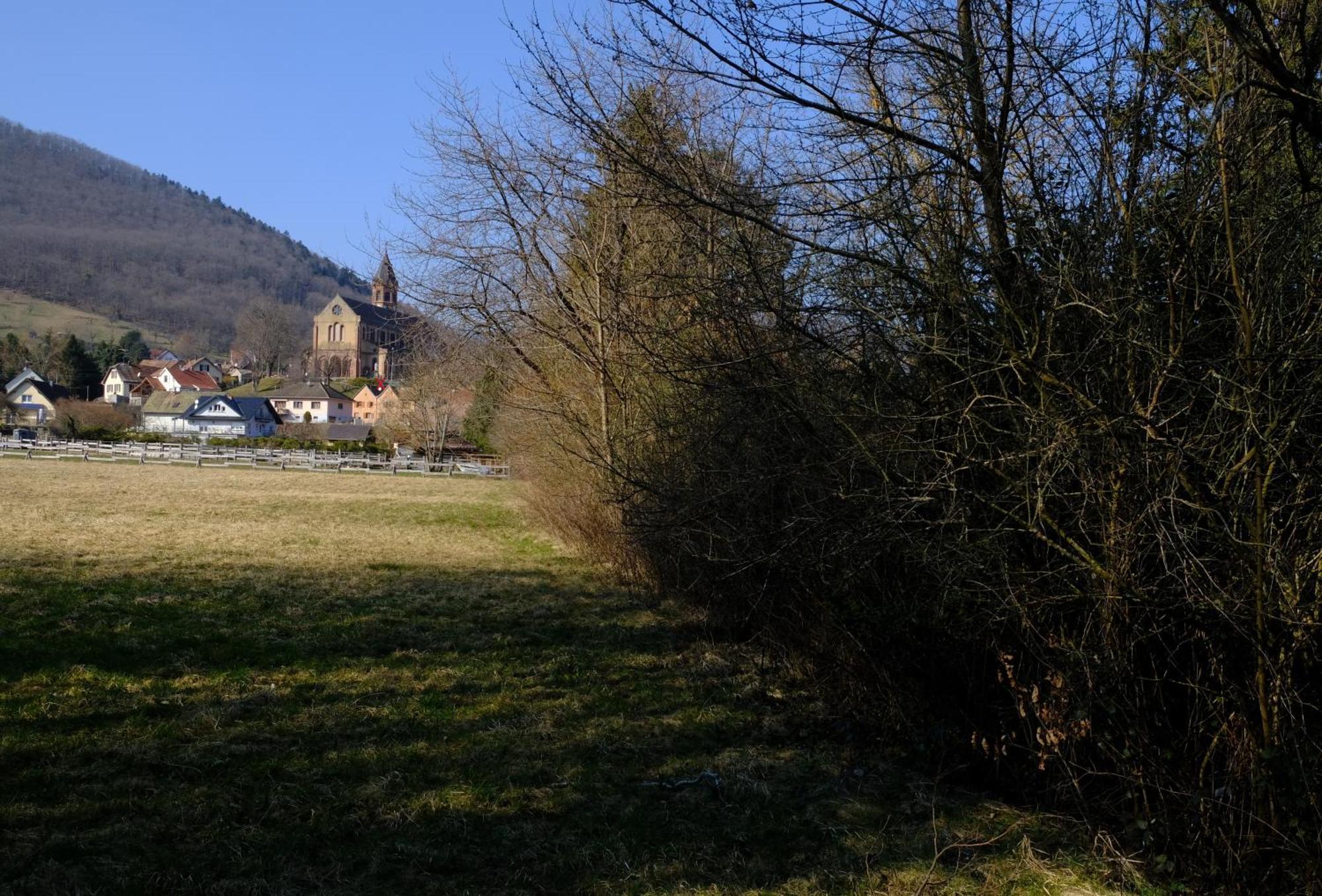Ferienwohnung Aux Jardins D'Argiles Buhl Exterior foto